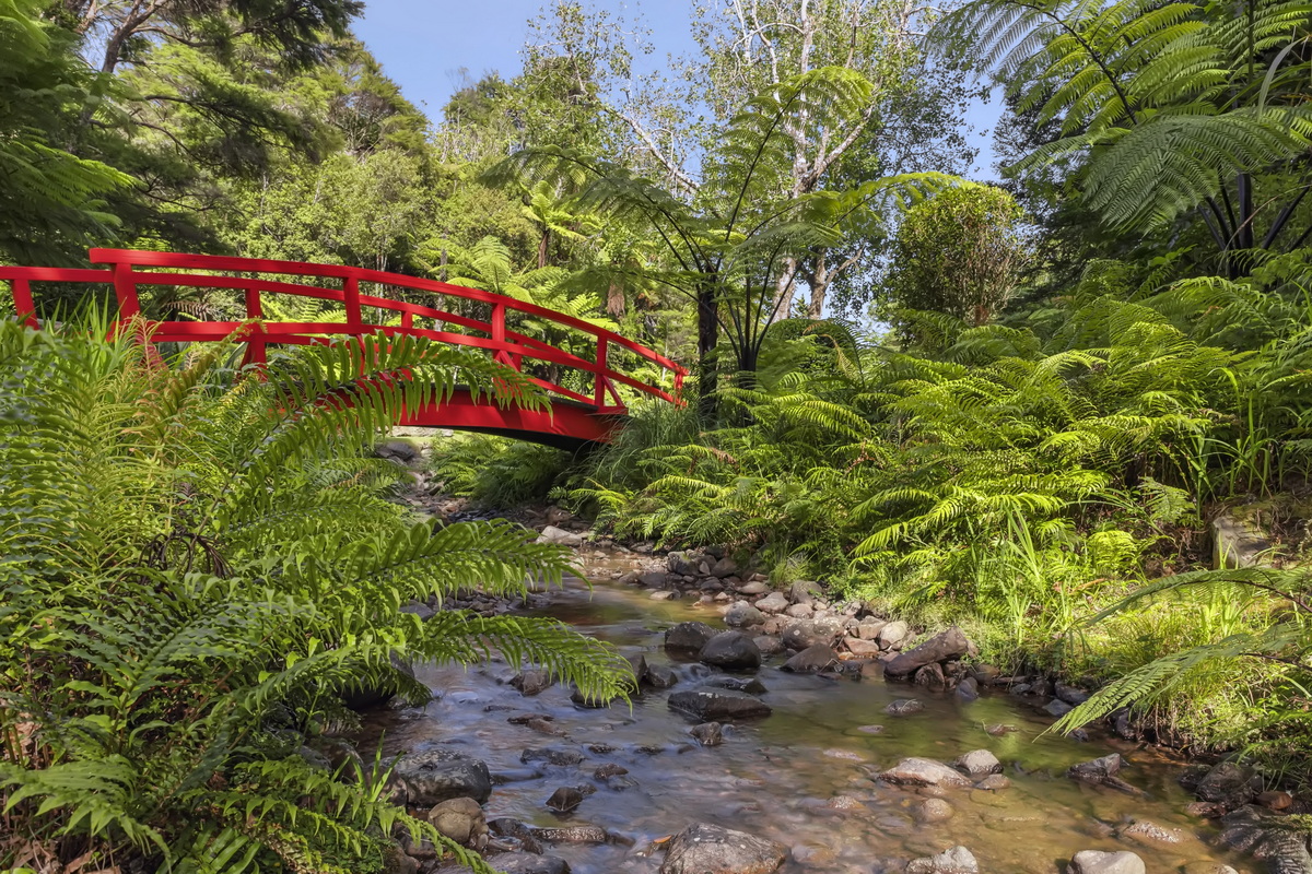 Rapaura Watergarden Thames NZ